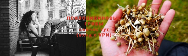 винт Арсеньев