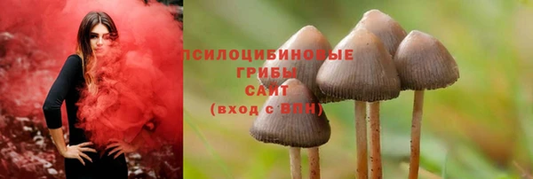 молекула духа Армянск