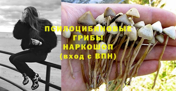 винт Арсеньев