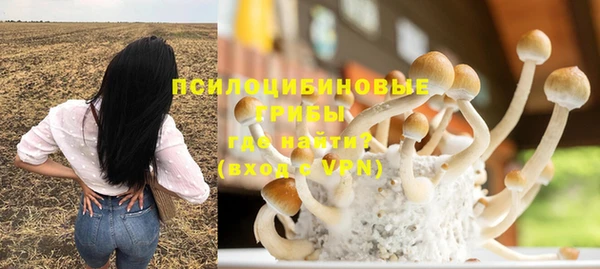 молекула духа Армянск