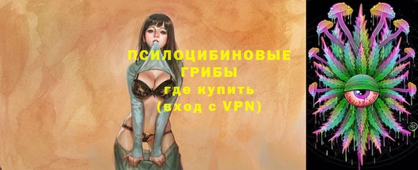 винт Арсеньев